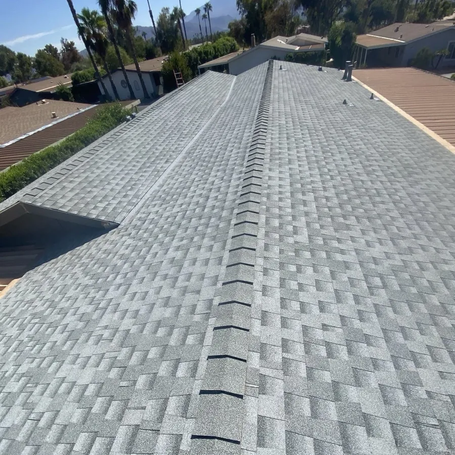 A pale grey shingle roof running to its ridge, palms and mountains behind
