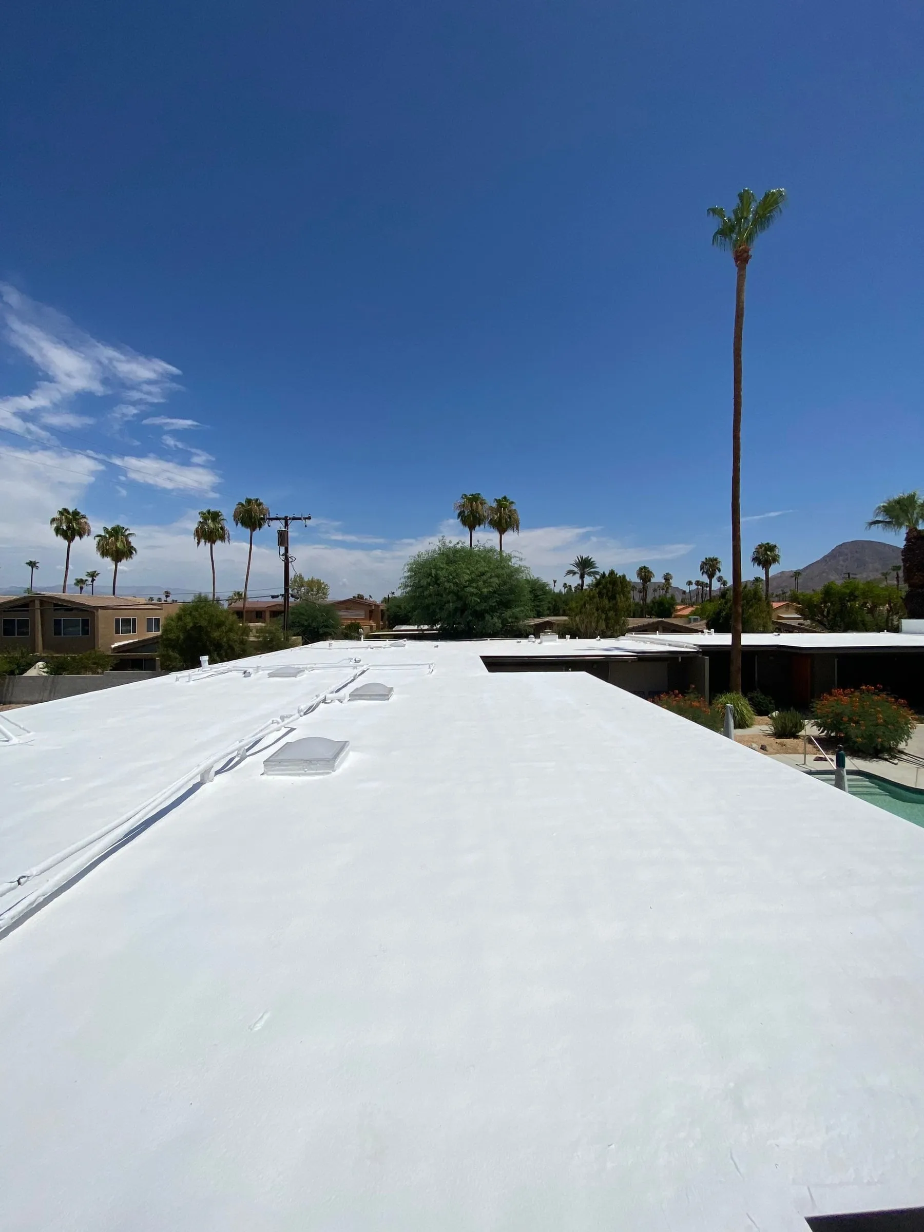 A freshly coated white SPF roof with domed skylights and coated conduit runs, a tall palm, a pool and the desert mountains under a deep blue sky