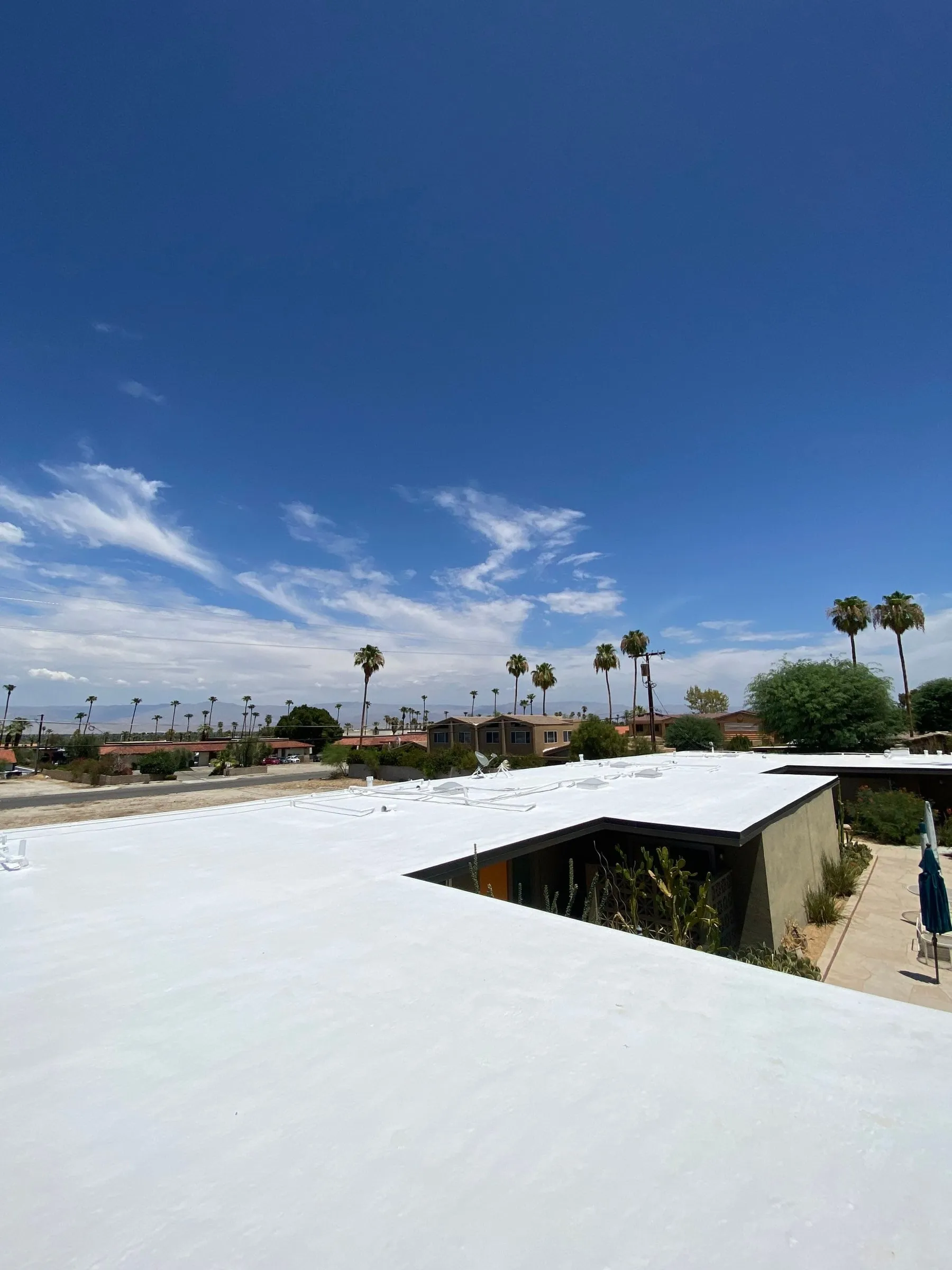 A wide white SPF roof wrapping an open courtyard of cactus and desert planting, palms and distant mountains under a deep blue sky